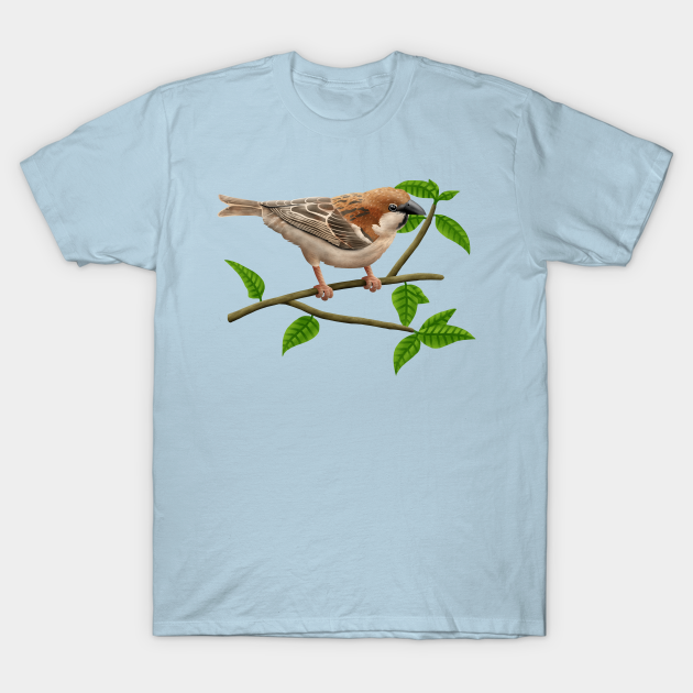 size 46 shirt in us